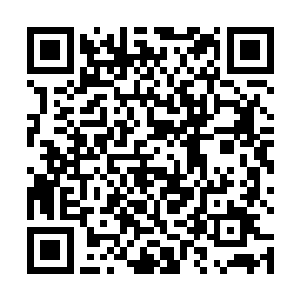 的感觉……好似再怎么高壮的对手在他面前也不堪一击二维码生成