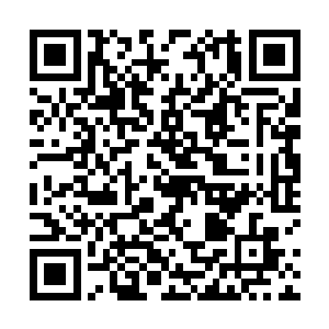的气流修补过的经脉在内壁上都会泛起一层微微的灰芒二维码生成