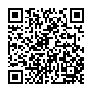 的确有可能会在这种时刻抱着侥幸心理去搏一下的二维码生成