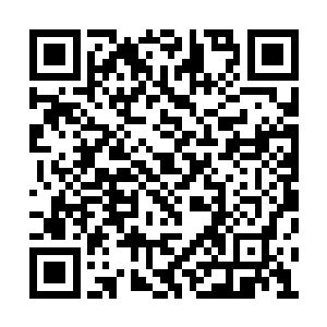 的确比佩戴在手腕上的传统探测法宝要方便许多二维码生成