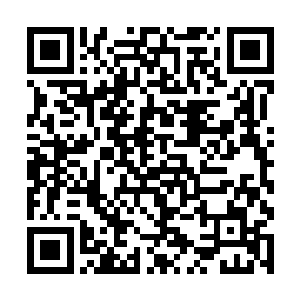 的老蛇就仿佛是一座无形的巨山似得压在努比斯心中二维码生成