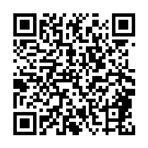 皇上不是将这一次迎接外宾的任务交给了秦桧吗二维码生成