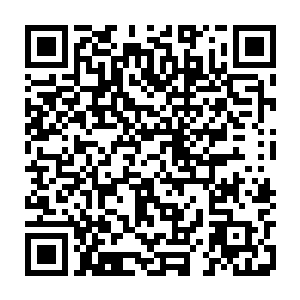 皇上就可以命人在这段时间里面从闻越口中知道更多关于长生不老药的内幕二维码生成