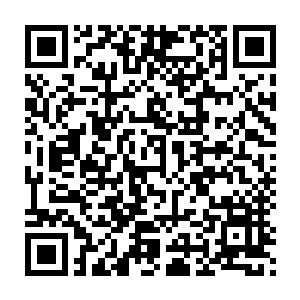 皇宫里的守卫森严可不是她一个手无缚鸡之力的小女孩可以躲过去的二维码生成