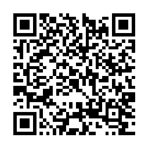 皇宫门口守卫的御林军如今都归了八皇子玄天墨管二维码生成