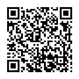 皇甫胜天确实是为了找到宝藏带回洪门来继续抗日二维码生成
