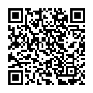 皮克和马斯切拉诺同时被荣光的射门假动作晃得僵在了原地二维码生成