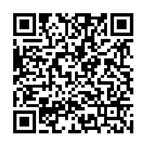 皮卡车在一阵翻滚之中重重撞在了货站外的围墙上二维码生成