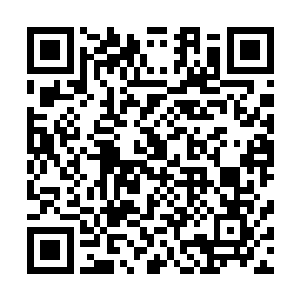 皮皮和囡囡两个小家伙就己经越过了父亲向着屋里奔了进去二维码生成