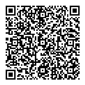 监控视频里不时可以看到那个打了劳伦斯一枪的人的身影　那人藏身于王宫卫队之中　就好像真的是王宫卫队的一员似的二维码生成
