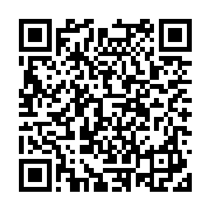 盘古文明联盟依旧保留了伏羲系统10%的信息和功能二维码生成