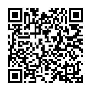 盘古族曾经在这里储存了大量洪荒时代各种生灵的种子二维码生成