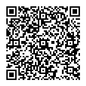 目光每一次跳动都会有些震撼这终究是上古的天骄大能一般修士只能使用单手剑而对方却是无比罕见的双手剑二维码生成