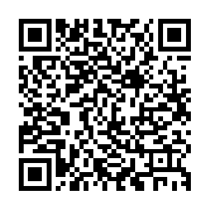 目前国内大概还有百余架类似普特利岛上可以自由活动的机器人二维码生成