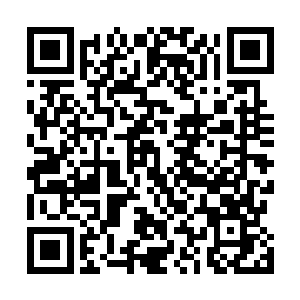目前纳甲土尸到达了僵神王境界也就相当于神界的神王了二维码生成