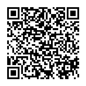 目测一个可隐身纸人一时半会儿根本无法全部一一窥探得完那分叉洞口二维码生成