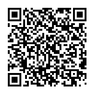 盯着那巨大灵气漩涡看的人一个个分不出自己内心到底是什么感觉二维码生成