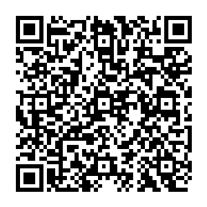 直到……他终于知道了原来妹妹当时被那么残忍的杀害是被杰克刻意交代过的之后二维码生成