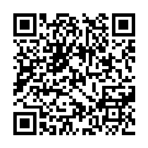 直到和许紫烟经历了三生三世似梦非梦的轮回之后二维码生成