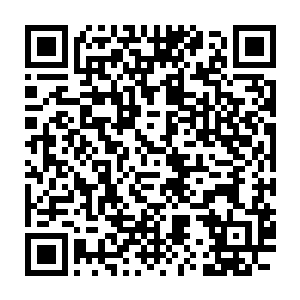 直到现在身为一门副门主都不曾听说过有人能够让剑自行攻击敌人二维码生成