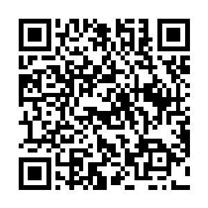 直接一眼看到的就是门德尔松船厂的双体船方案中标了二维码生成
