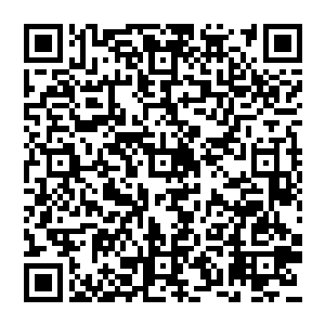 直接两三下摇摇晃晃的迈着小方步儿走到了椰子旁边把自己一头绿毛的脑袋从开口里伸了进去二维码生成