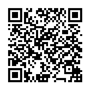 直接代入到威塔工作室已经建好的洞穴巨魔的三维模型中二维码生成
