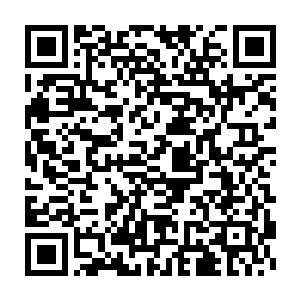 直接私底下就拿着隐龙设定下来的计划表传输给同样野心勃勃的银鹰二维码生成