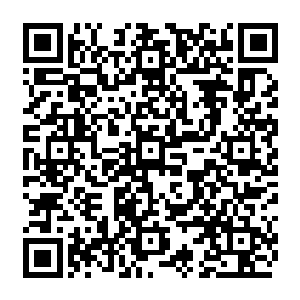 直接让他出现在了秦方的攻击范围内了……一击狂暴的掌力早已经积蓄到了极致的二维码生成