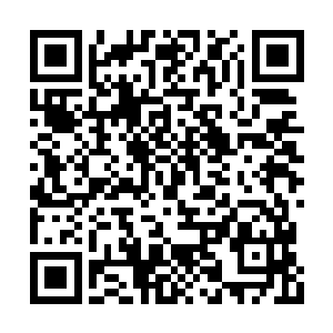 相信你这混沌第一灵不会不知道这是什么玩意吧二维码生成