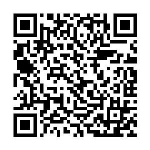 相信呆爷已经将长生事务所的整体格局都给你说了吧二维码生成