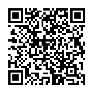 相信墨族域主们也不会傻到让他施展十二次舍魂刺的程度二维码生成