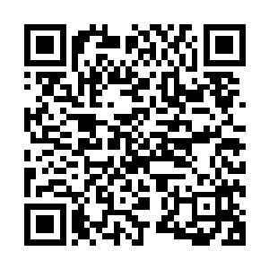 相信大家都对这位掌管着世界第二大风投资本的经理人有印象二维码生成