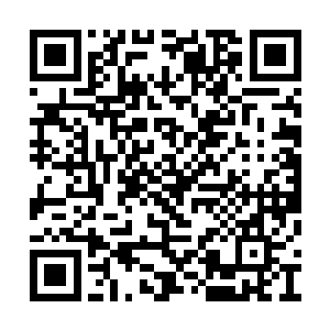 相信用不了多久你的实力就可以提升到下位神了二维码生成