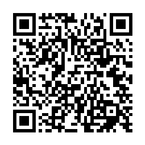 相反在暑期档的激烈竞争之中也足以拿下周末票房冠军了二维码生成