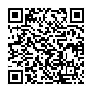 相比而言……秦方的伤势都算是可以忽略不计的了二维码生成