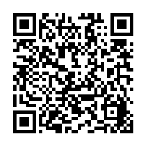 看了一眼倒在血泊之中的狂魔和还在抽搐的谢丽丝诺丽二维码生成