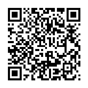 看到上面各种可能在未来产生巨大影响的计划文件二维码生成