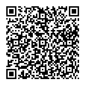 看到了弟弟在水中囡囡更加的扭的来劲了不住的拍着父亲环在自己腰上的胳膊大声的说着放她下去二维码生成