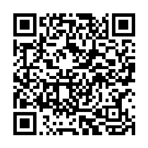 看到了钟长老和秦护法两人鬼鬼祟祟的嘀咕什么呢二维码生成