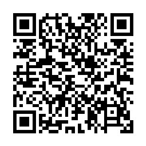 看到孙悟空以强势的力量硬生生打破了自己的符文法阵二维码生成