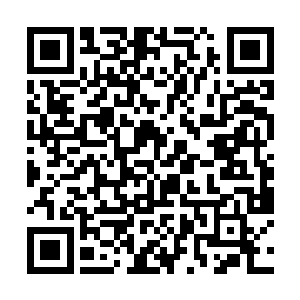 看到对方没有什么过激的行为金在珉也是松了一口气二维码生成