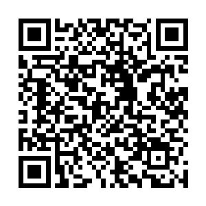 看到张赫转身时那眼中充满强烈恨意和狠毒之色的目光二维码生成