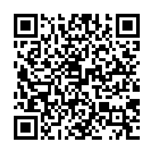 看到张铁吃了大堆烈焰红莲的莲藕之后还问出这样的问题二维码生成