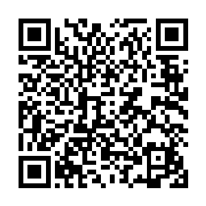 看到曾经的辉煌杀手们眼睛里竟然有从来没有过的害怕二维码生成