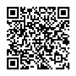 看到的却是一大团如同密密麻麻的芒针瞬间刺破了空气二维码生成