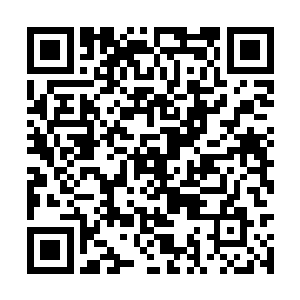 看台上几位评审者对这个异国公主也多了几分赞赏二维码生成