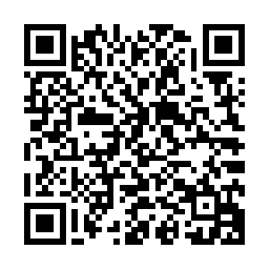 看得后头跟着的钻石翡翠几个担心她会不会被风吹得不稳摔倒二维码生成