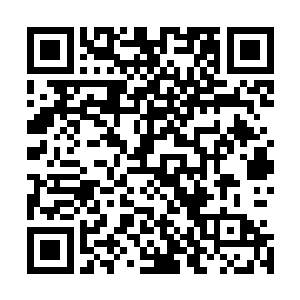 看最新章节司徒浩南上一次也不知道跟耶律芊芊还说了什么二维码生成