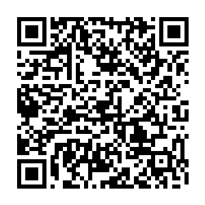看本书最新章节请到原因恐怕就是数万年在深海中被恐怖的压力锤炼导致二维码生成